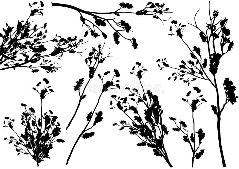 Set of Shrub Branch Silhouettes