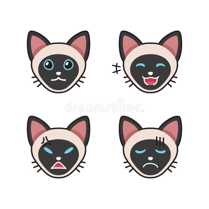 Angry Siamese Cat Gráfico por danmoroboshi · Creative Fabrica