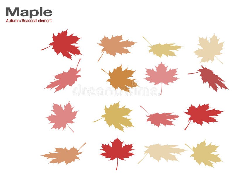 Set of silhouette maple leaf on transparent background