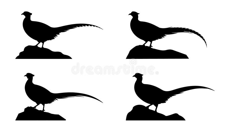 Set of silhouette pheasant illustrations depicting four different poses on minimalist rock formations stock illustration
