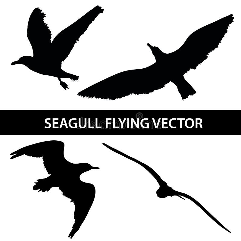 Set of silhouette seagull flying 4 in 1 on white background