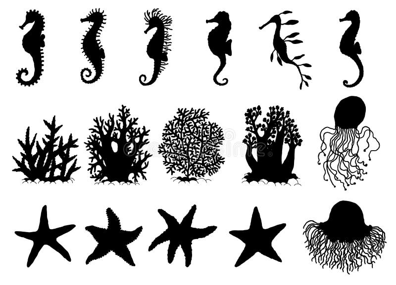 Set silhouette seahorses, starfishes and corals different forms. Vector icons wild ocean animals underwater life doodle isolated illustrations