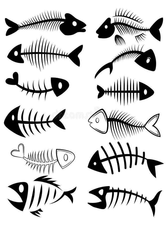 240 Skeleton Fish Tattoos Illustrations RoyaltyFree Vector Graphics   Clip Art  iStock