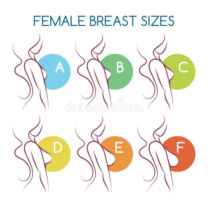 Set of Silhouettes Icons of Various Female Breast Size, Body Side View.  Sizes of Busts from Small To Large Stock Vector - Illustration of human,  care: 145792677