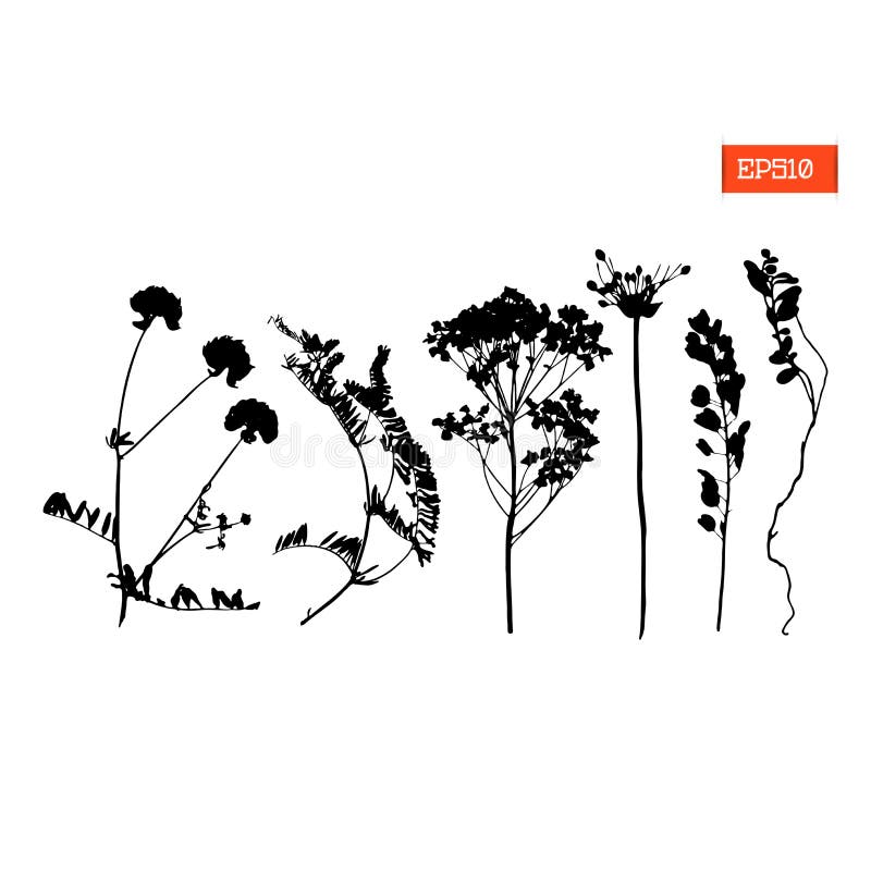 Set Silhouettes of Wild Flowers Vector Stock Vector - Illustration of ...