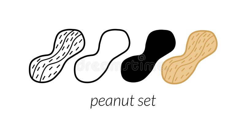 Set of 4 simple linear peanuts. Usable for packaging, cards, posters, patterns stock illustration