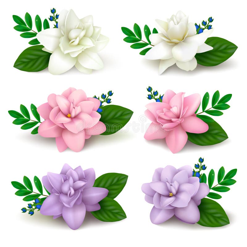 Set of single realistic vector flowers double daffodil in unreal colors with leaves and shadows on white background. Six realistic vector flowers double daffodil royalty free illustration Set of single realistic vector flowers double daffodil in unreal colors with leaves and shadows on white background. Six realistic vector flowers double daffodil royalty free illustration