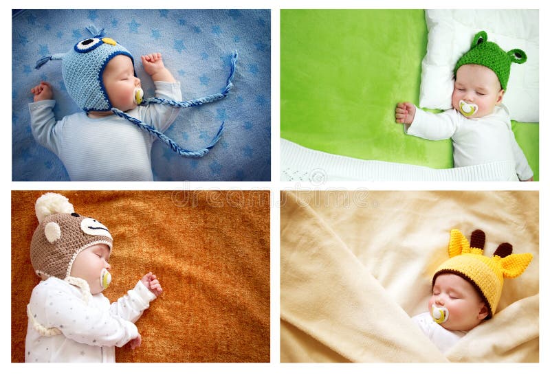 32,311 Sleeping Baby Animal Stock Photos - Free & Royalty-Free Stock Photos  from Dreamstime