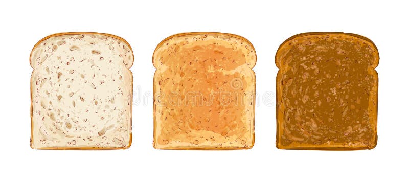 Set of sliced bread toast vector. Slice of a whole wheat white bread. Bakery, food, piece of roasted crouton for