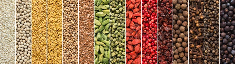 Set of spices and herbs for Indian cuisine. colorful seasoning background for design food packaging stock photography Set of spices and herbs for Indian cuisine. colorful seasoning background for design food packaging stock photography
