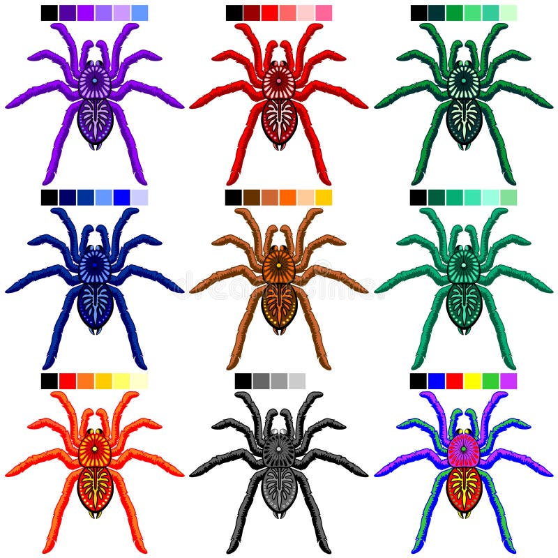 Spiders Tarantulas Set of 9 Colors