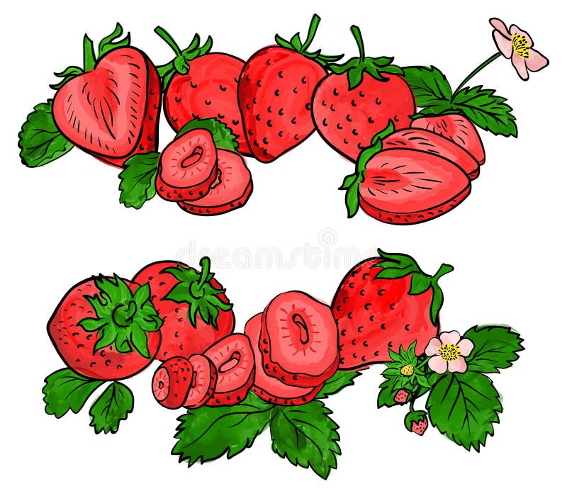 Set of strawberry fruit isolated on white. Different type of pieces. royalty free illustration