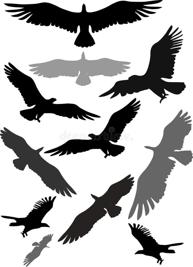 Set sylwetki latający orły royalty ilustracja Set sylwetki latający orły royalty ilustracja