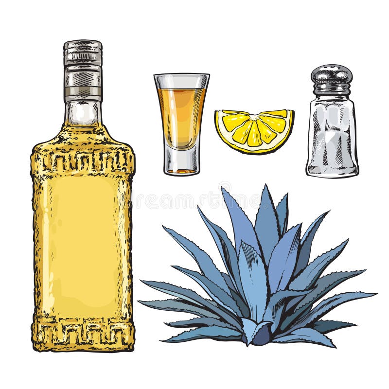 Set of tequila bottle, shot, salt mill, agave and lime