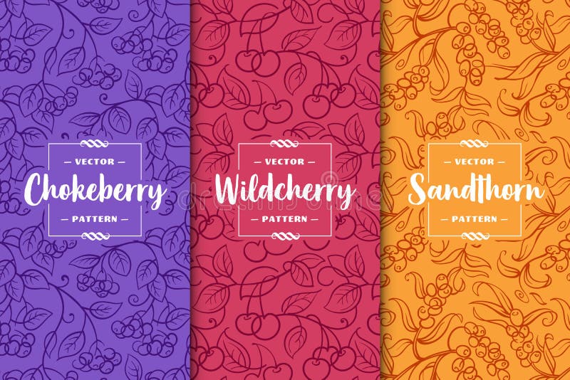 Set of three berries patterns. Chokeberry, Wild cherry, Sandthorn. Flat vector illustration