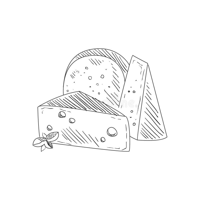 Set of Three Different Cheeses Hand Drawn Realistic Sketch Stock Vector