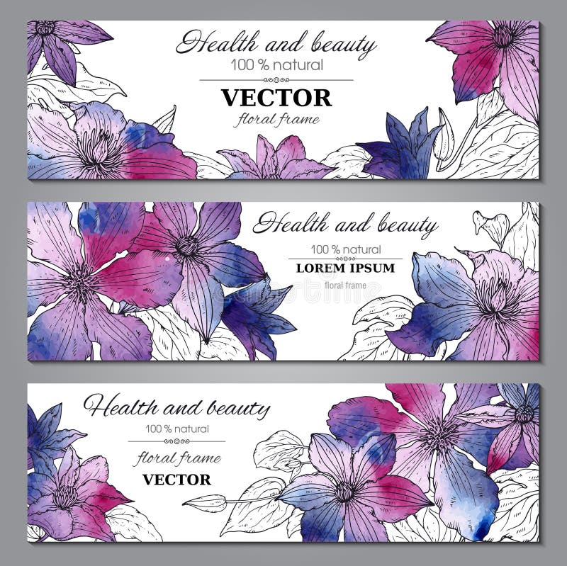 Set of three horizontal banners with beautiful clematis flowers stock illustration