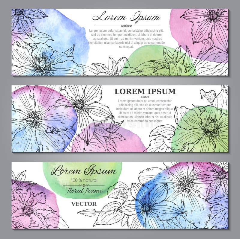 Set of three horizontal banners with beautiful clematis flowers vector illustration
