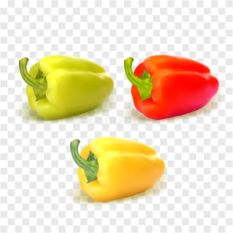 Set of three peppers. Yellow, red and green pepper. Vector illustration.