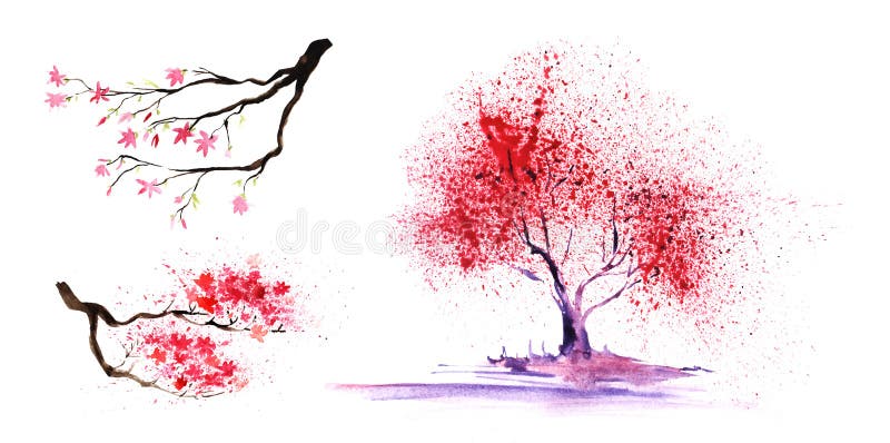 Set of thtree eelements. Abstract color-tree and branches with a magnificent crown. Hand-drawn watercolor illustration
