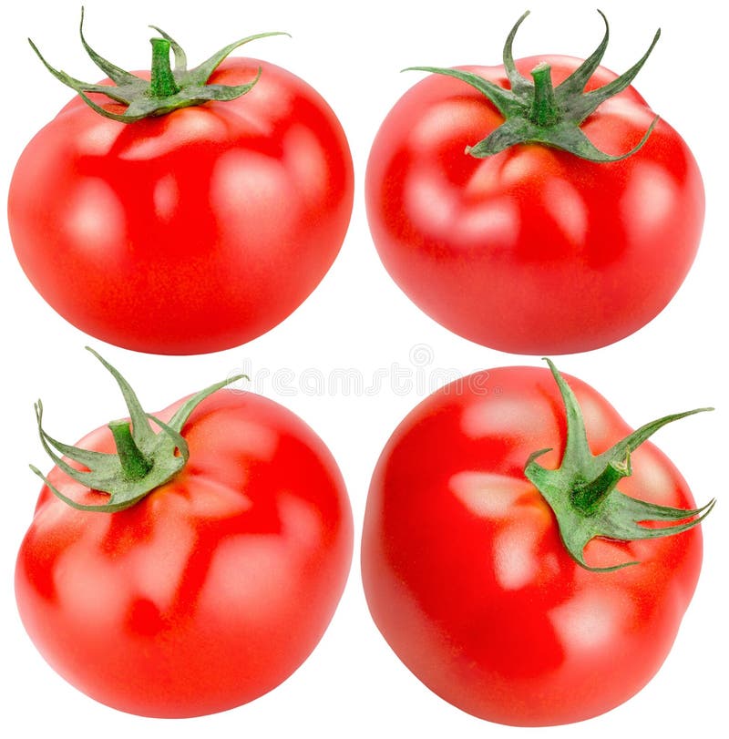 Set of tomatoes isolated on a white background