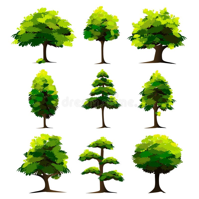 Ilustraciones de un conjunto compuesto por un árbol sobre el blanco.