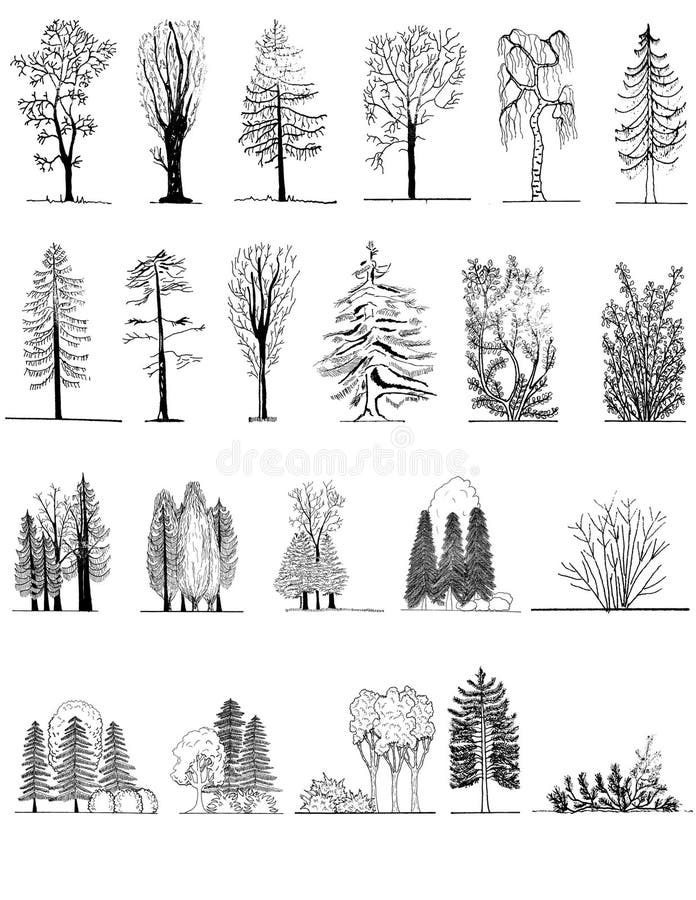 A set of tree silhouettes , for architectural or landscape design