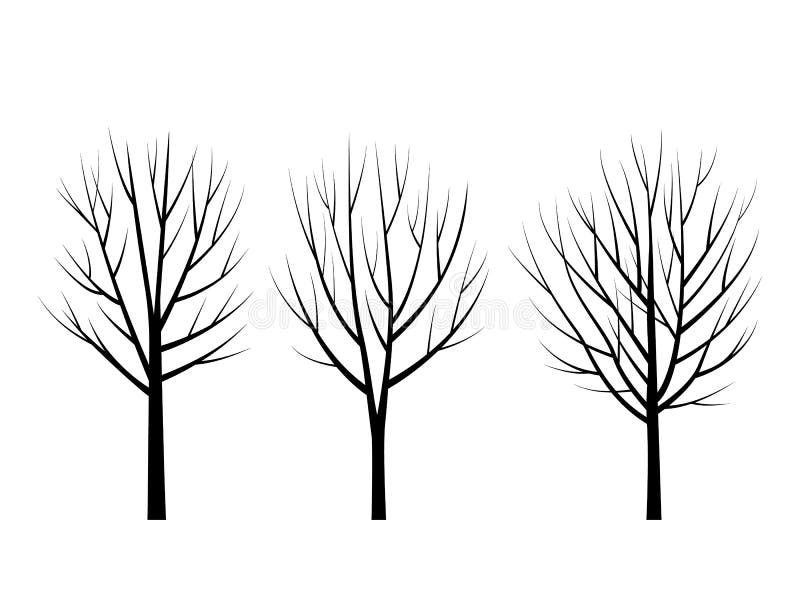 Set of Trees without leaves glyph icon. black silhouette of winter trees with branches. flat vector illustration. vector illustration