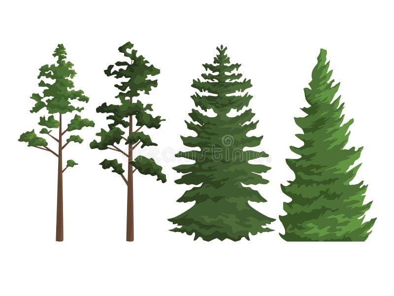 Set trees nature stock illustration