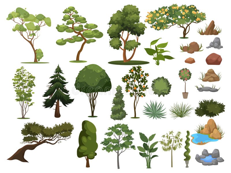 Set of trees and shrubs. Collection of landscape design elements. Vector illustration of plants. Coniferous and royalty free illustration