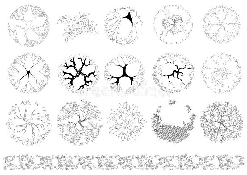 Set of trees and shrubs. Top view. stock illustration
