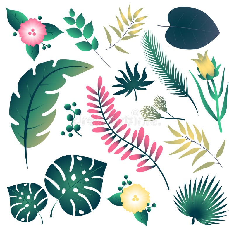 Set with tropical leafs for design poster stock illustration Set with tropical leafs for design poster stock illustration