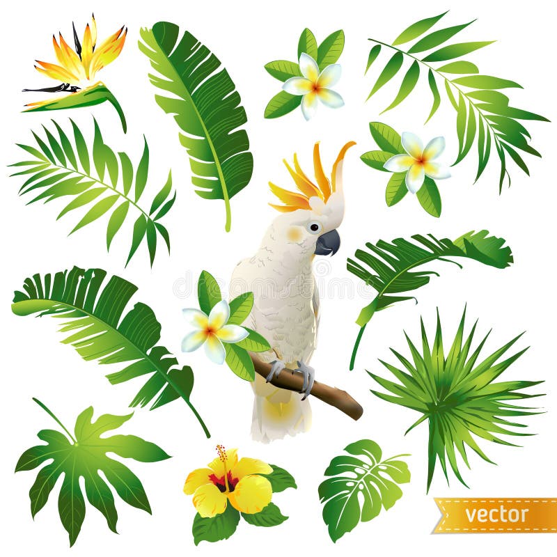 Set with tropical leaves, flowers and birds royalty free illustration