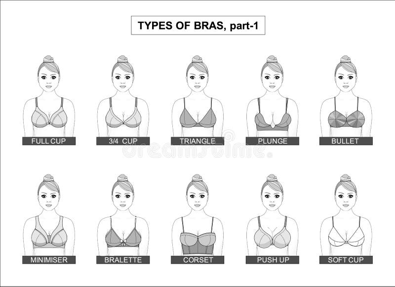 Set of Lingerie Elements.Vector Fashion Different Types of Bras