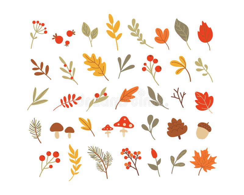 Vector Autumn Set with Acorn. Stock Vector - Illustration of november ...