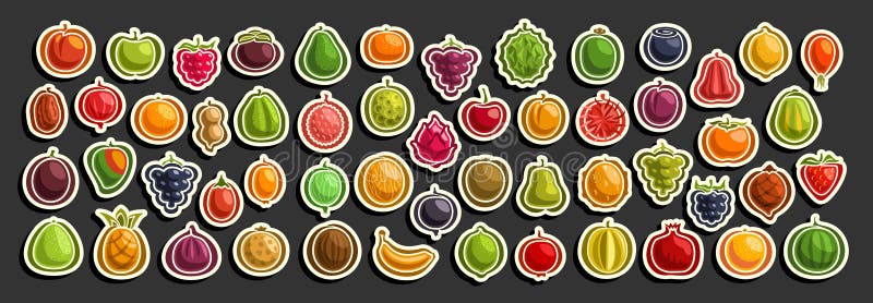 Set vector de fructe proaspete stock illustration
