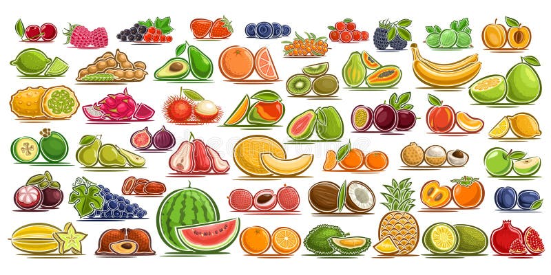 Set vector de fructe proaspete și bace stock illustration
