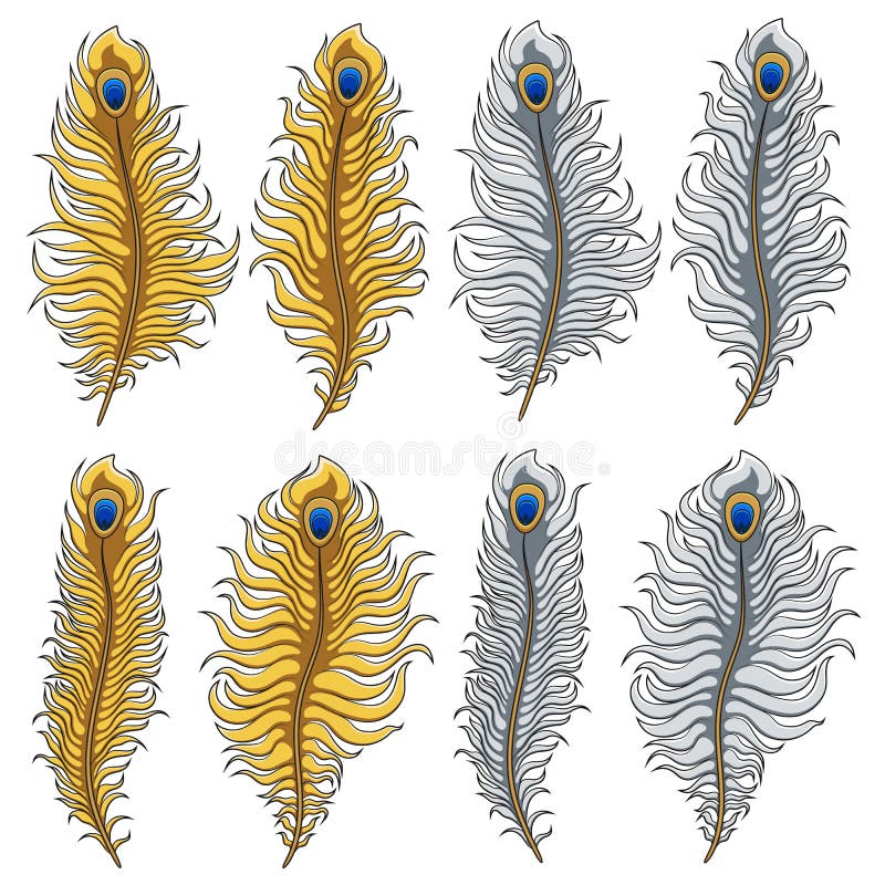 Set of Vector Images of Gold and Silver Peacock Feathers. Isolated ...