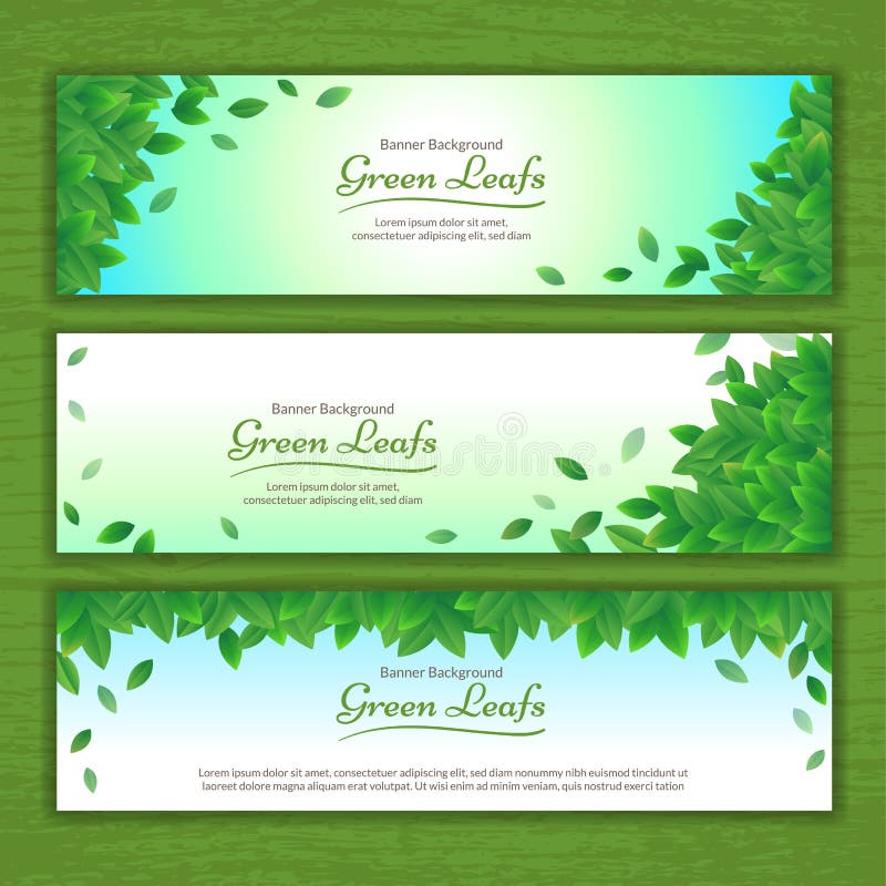 Set of Vector Nature Background Banner with Green Leaf Frame Stock