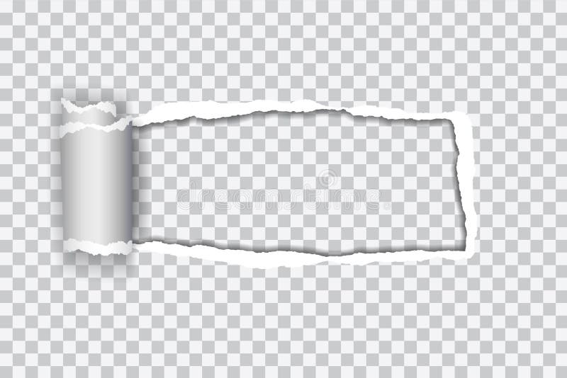Set vector realistic illustration of transparent torn paper with vector illustration