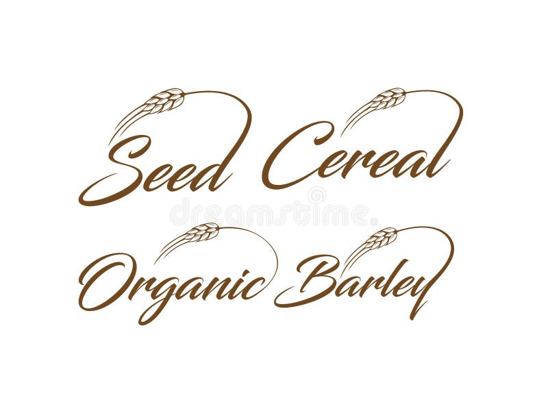 Seed Cereal Organic and Barley Wordmark Logo Sign royalty free illustration