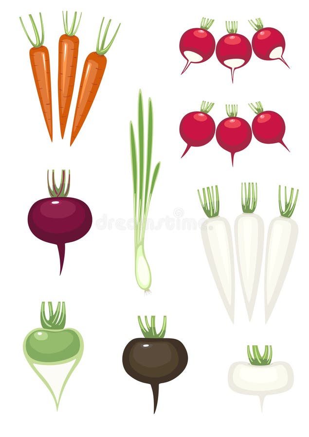 Set of Different Vegetables Plant Growing Underground Carrot, Onion