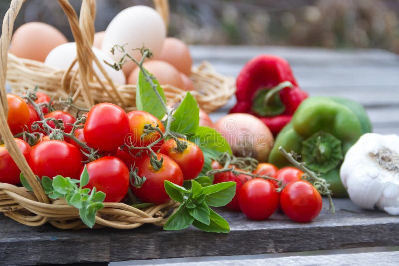 Set of Vegetables and Eggs from the Organic Farm Stock Photo Image of fresh, herbs 111756944