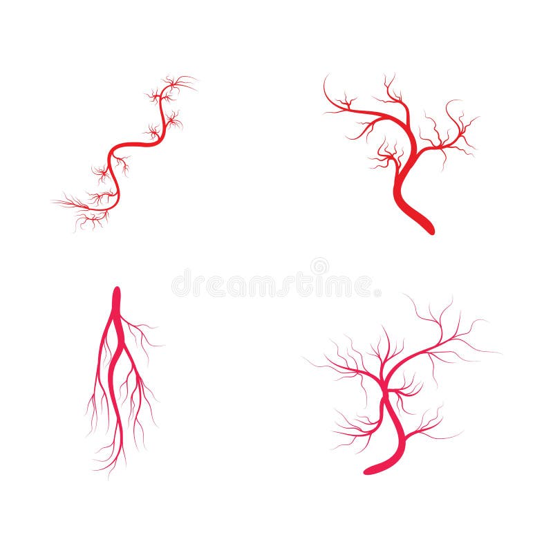 Veins Icon Vector Illustration Design Logo Template Stock Vector ...