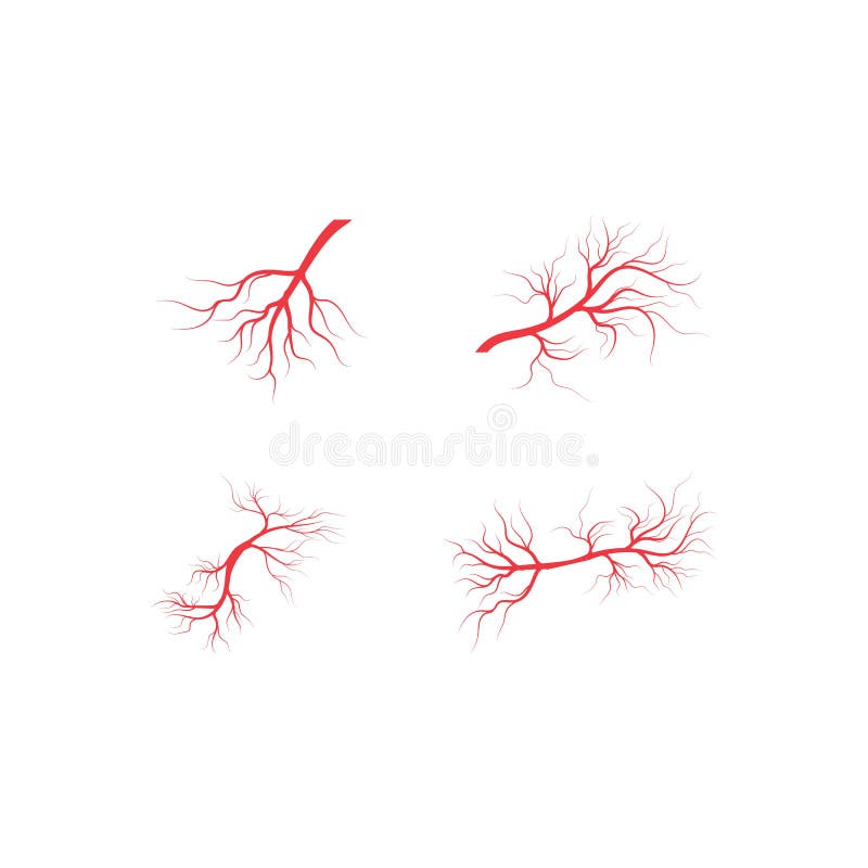 Veins Icon Vector Illustration Design Stock Vector - Illustration of ...