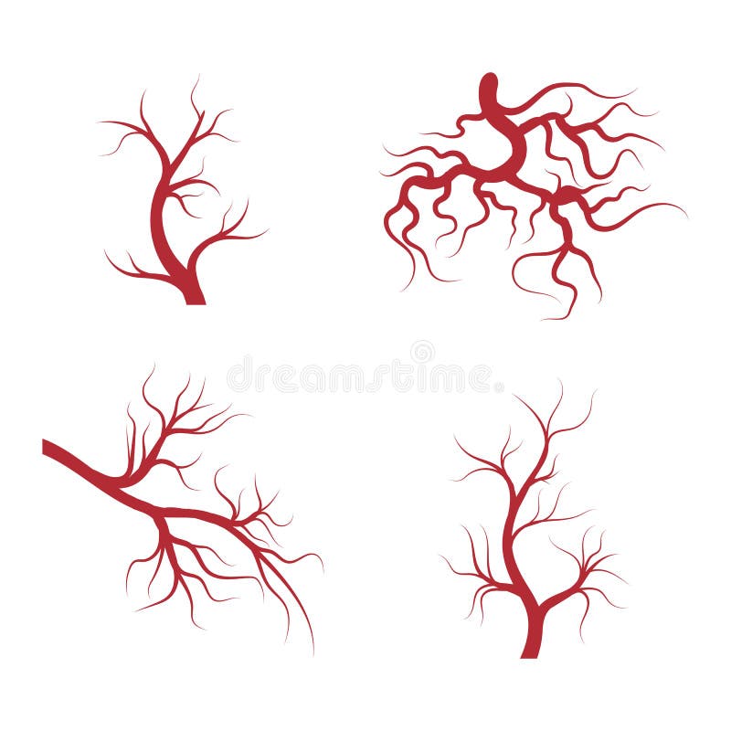 Veins Logo Template Vector Symbol Stock Vector - Illustration of color ...