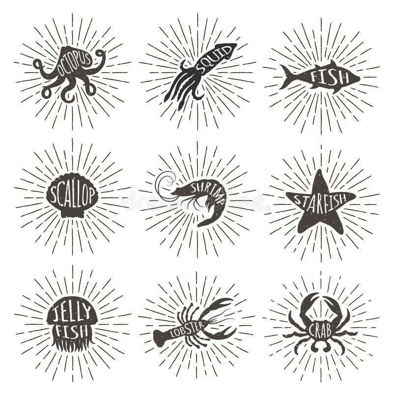 Set of vintage hand drawn sea animals with sun rays. vector illustration Set of vintage hand drawn sea animals with sun rays. vector illustration