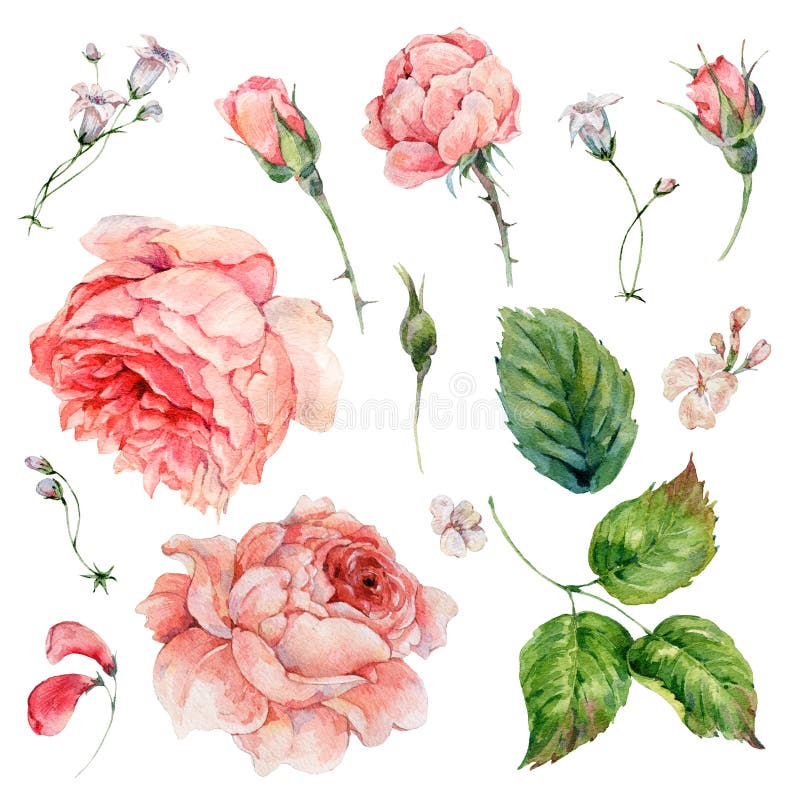 Three Hibiscus Flower Bouquet Stock Vector - Illustration of graphic ...