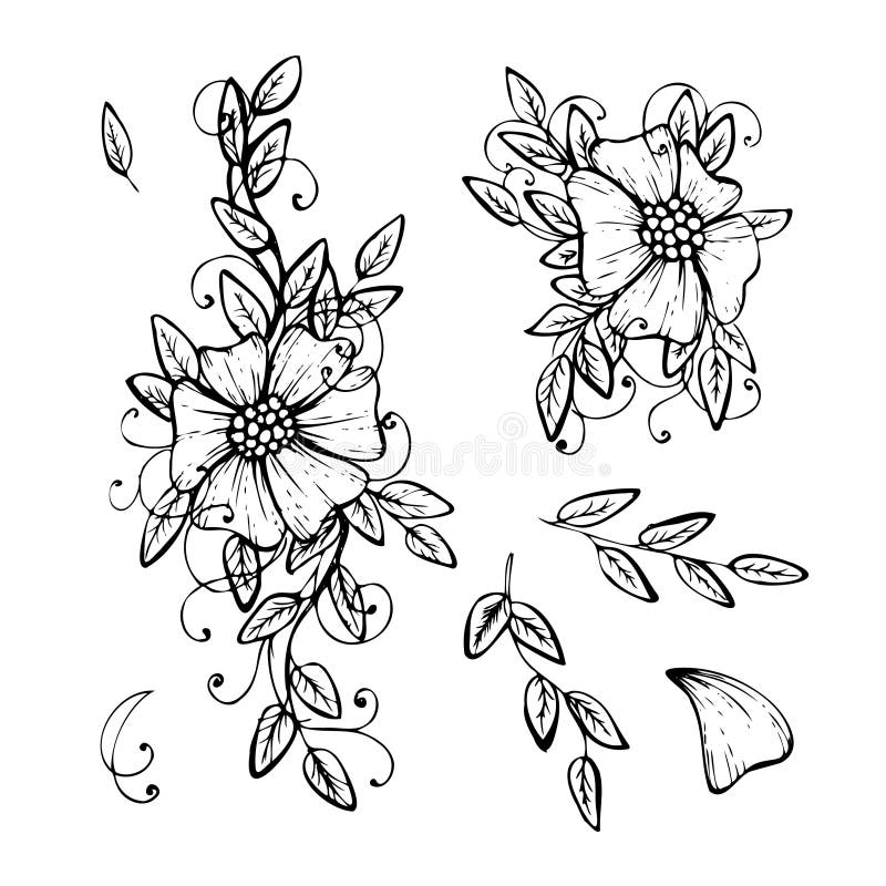 Set Von Objekten Skizzieren Handgezeichnete Linien Textur Blumen Sketch ...