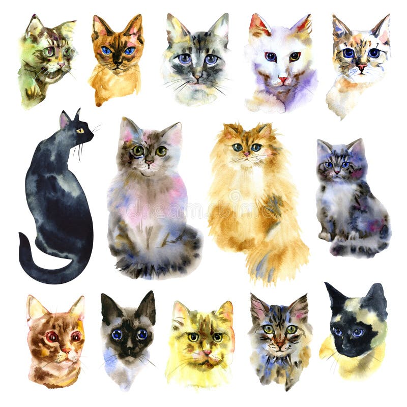  Men Women Kids Cat Colorful Graphic Design Watercolor